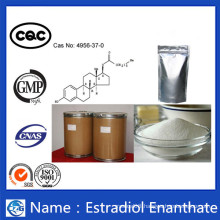 High Purity and Good Effect Powder Estradiol Enanthate